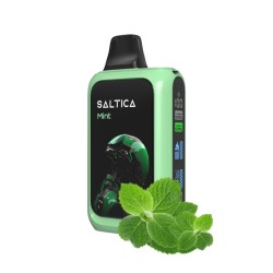 Saltica Cyber 18000 Kullan At